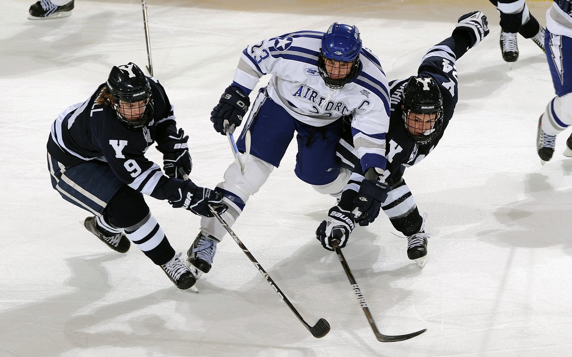 篮球联盟年度数据统计分析